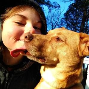 Meet your Posher, Rose